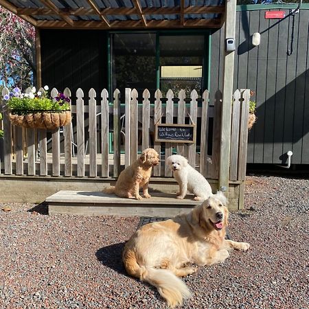 Willows Reach Lodge Kumeu Luaran gambar