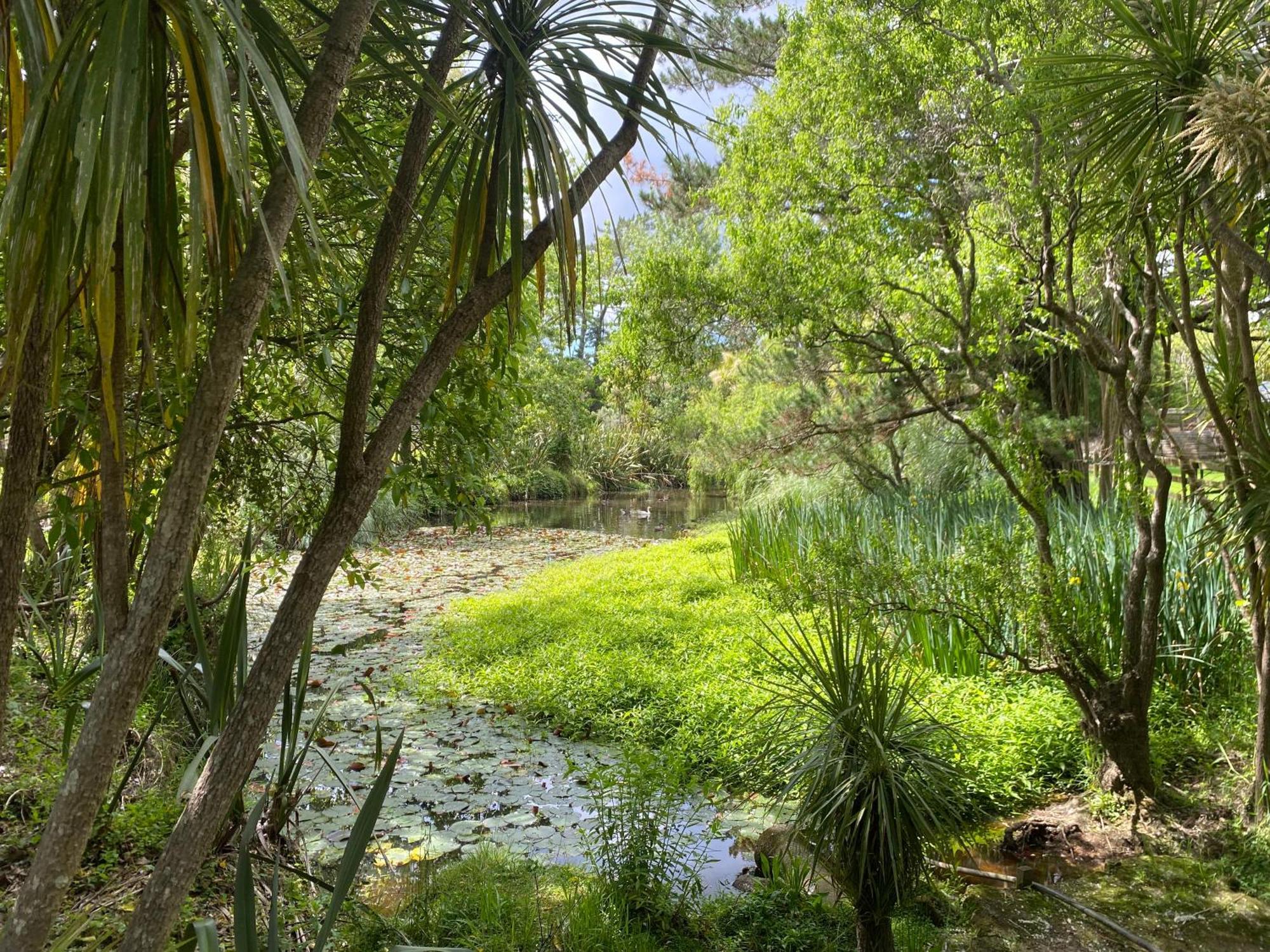 Willows Reach Lodge Kumeu Luaran gambar