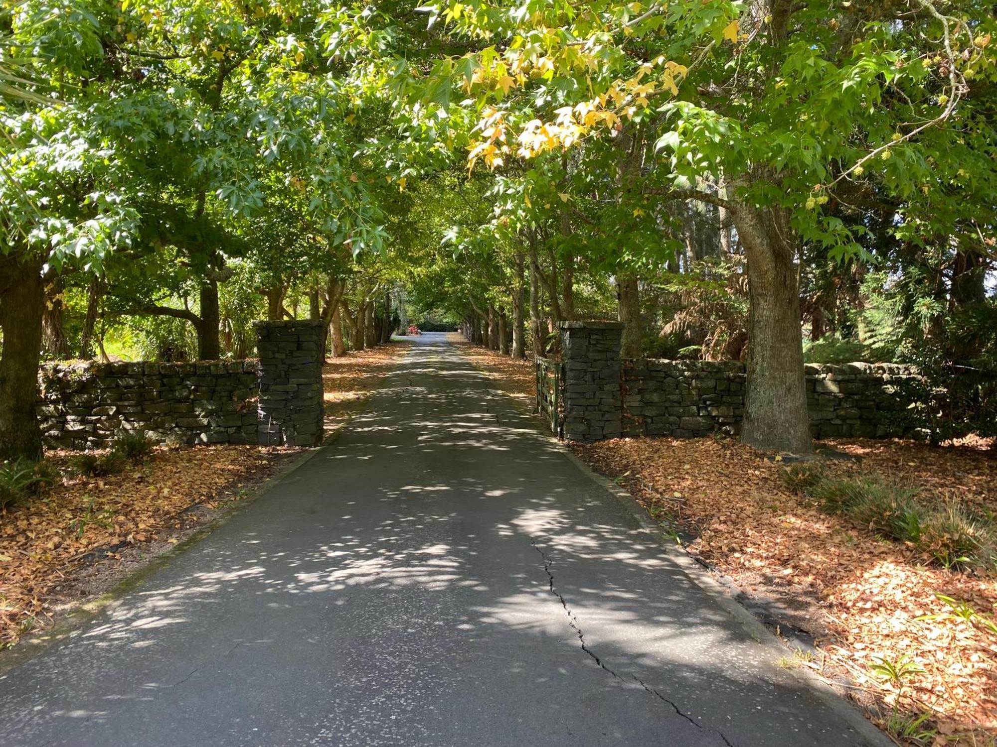 Willows Reach Lodge Kumeu Luaran gambar