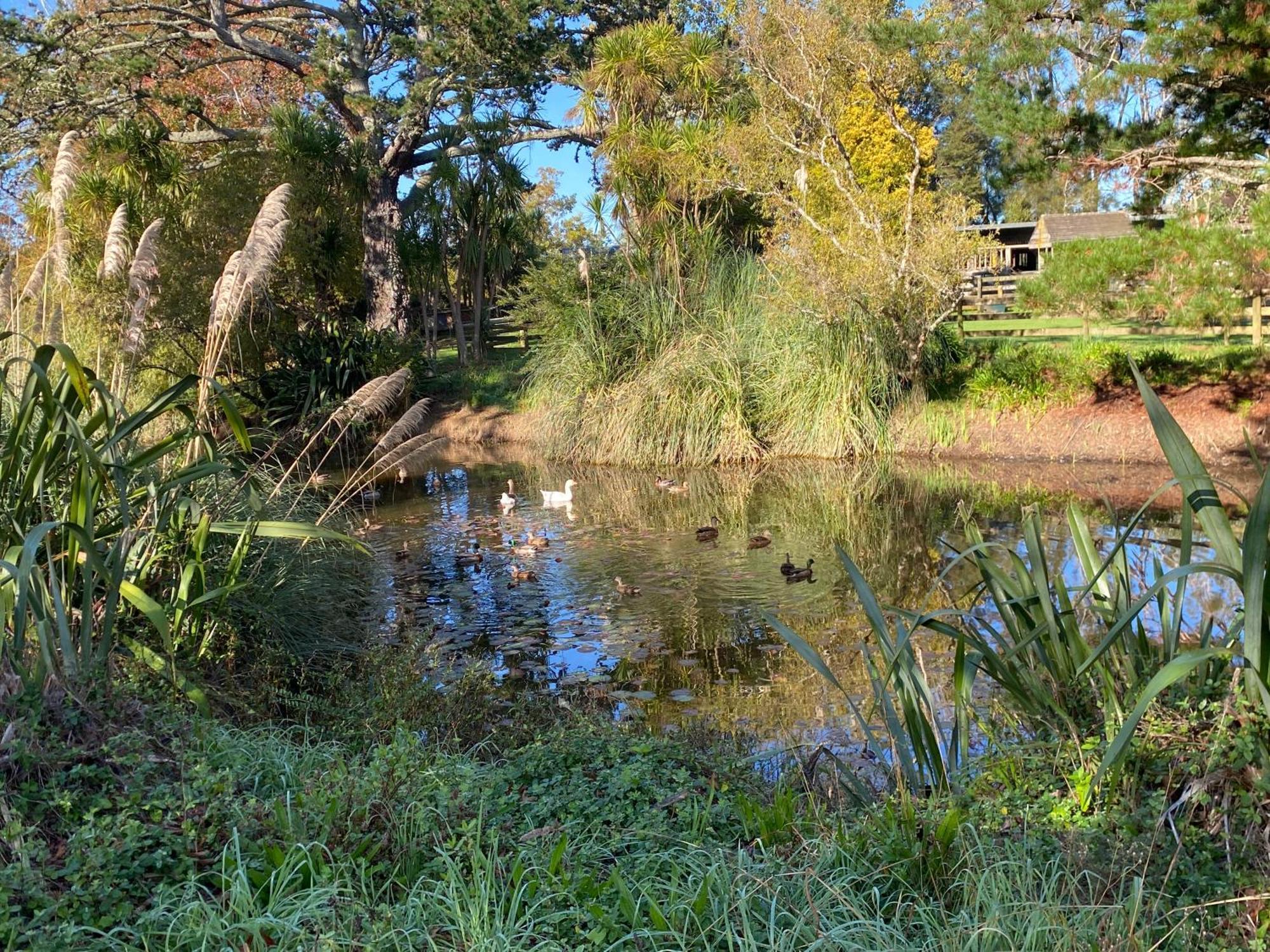 Willows Reach Lodge Kumeu Luaran gambar