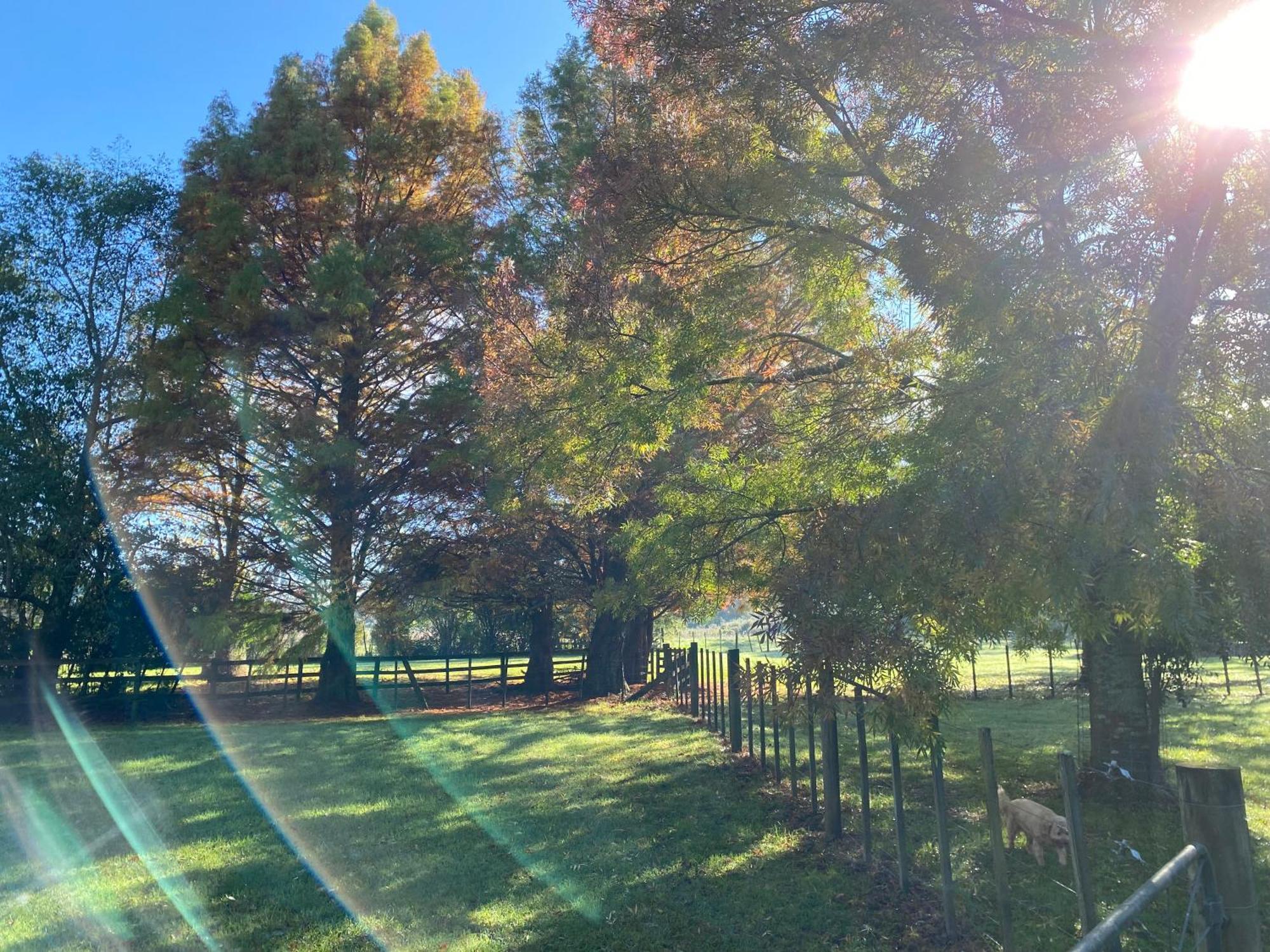 Willows Reach Lodge Kumeu Luaran gambar