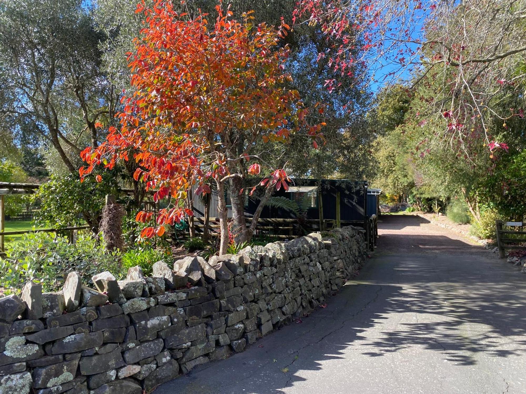 Willows Reach Lodge Kumeu Luaran gambar