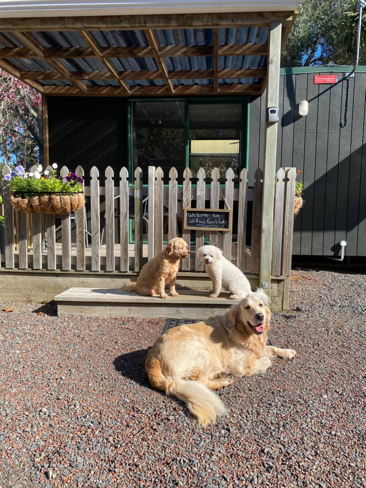 Willows Reach Lodge Kumeu Luaran gambar